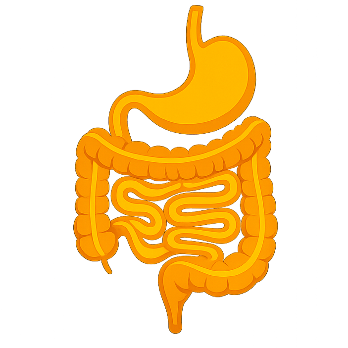 Gastrointestinal